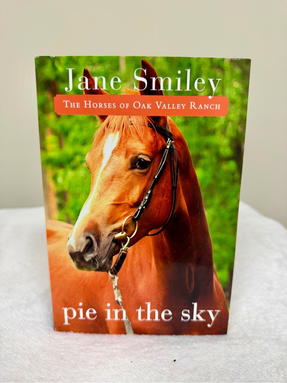 Pie in the Sky by Jane Smiley